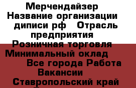 Мерчендайзер › Название организации ­ диписи.рф › Отрасль предприятия ­ Розничная торговля › Минимальный оклад ­ 25 000 - Все города Работа » Вакансии   . Ставропольский край,Лермонтов г.